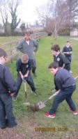 001national tree week 2016 002